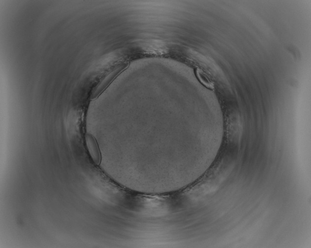 X0000112030229200908311222