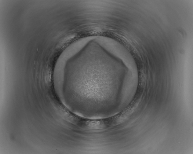X0000112030230200908311222