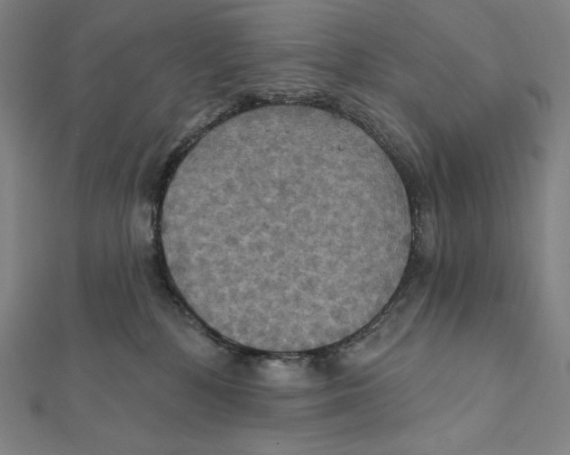 X0000112030232200908311222