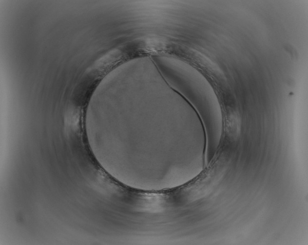 X0000112030233200908311222