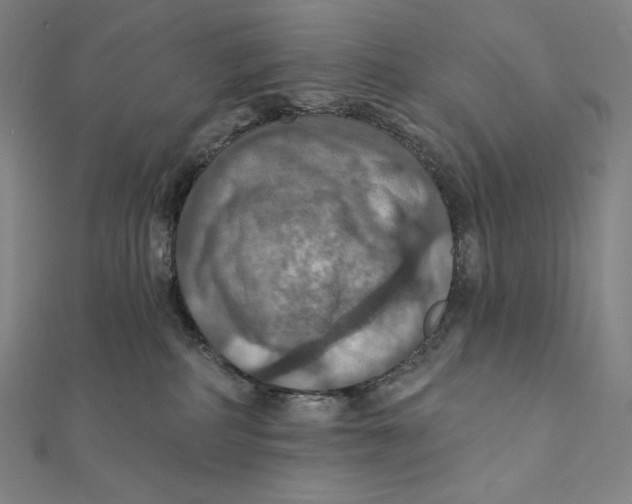 X0000112030234200908311222