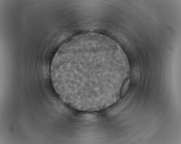 X0000112030236200908311222