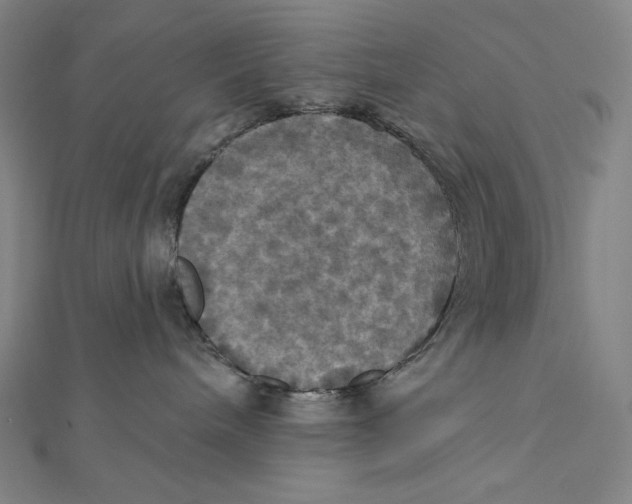 X0000112030240200908311222