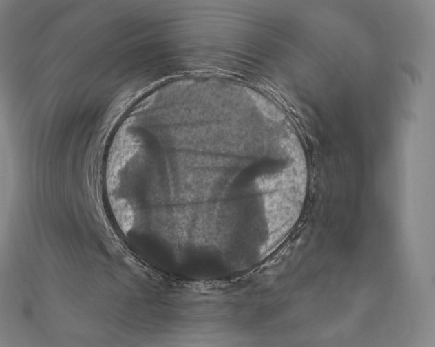 X0000112030241200908311221