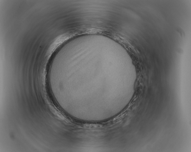 X0000112030242200908311221