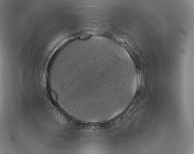 X0000112030243200908311221