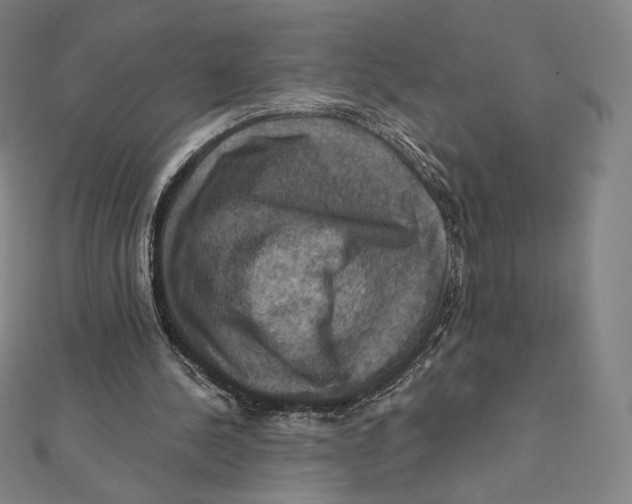 X0000112030244200908311221