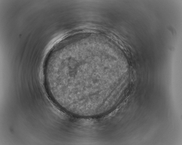 X0000112030245200908311221