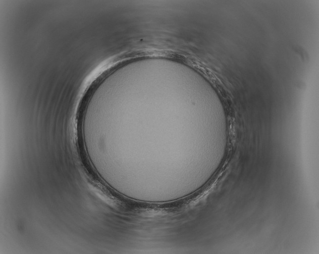 X0000112030246200908311221