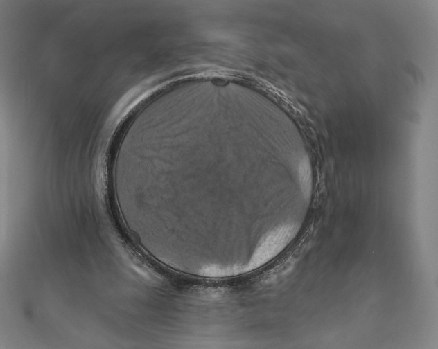 X0000112030247200908311221