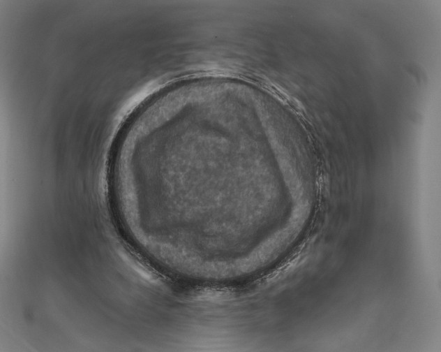 X0000112030248200908311221