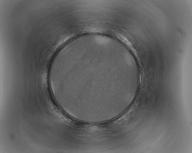 X0000112030249200908311221