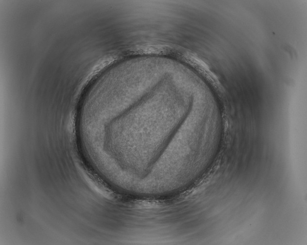 X0000112030250200908311221