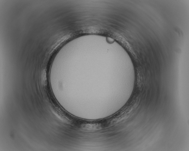X0000112030251200908311221