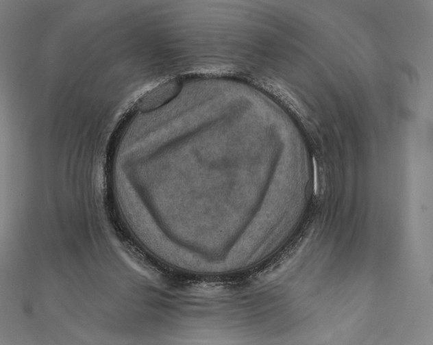 X0000112030252200908311221