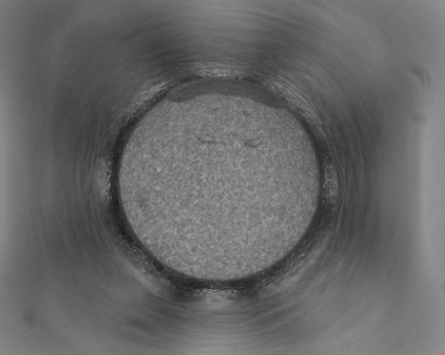 X0000112030255200908311221