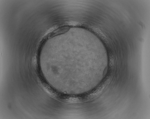 X0000112030256200908311221