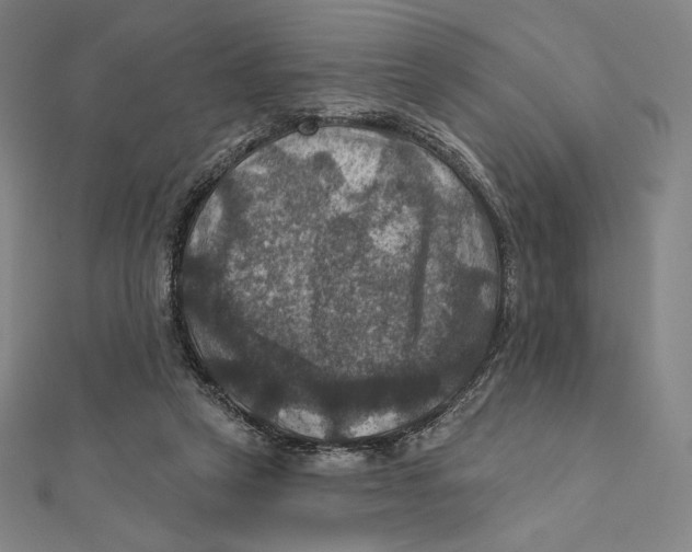X0000112030257200908311221