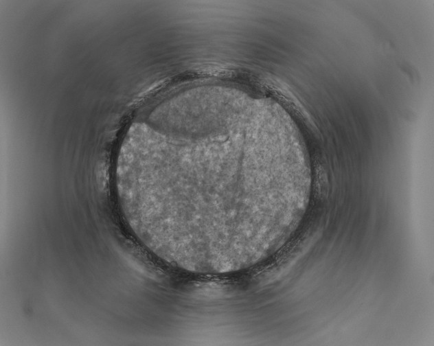 X0000112030259200908311221