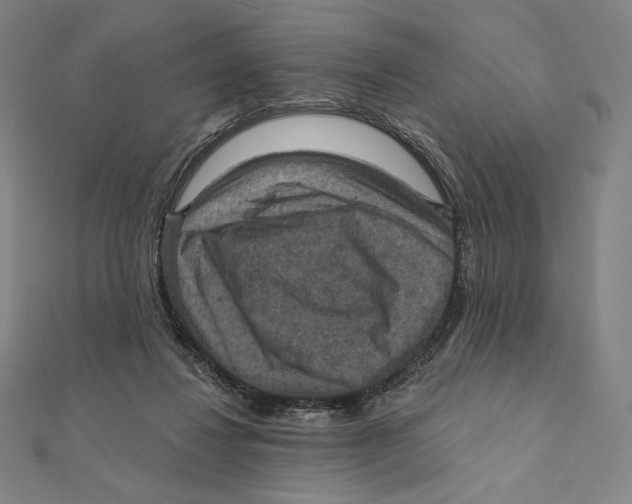 X0000112030260200908311221