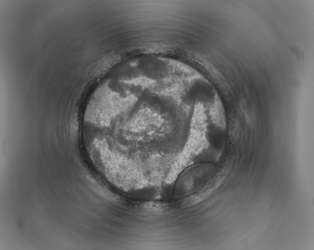 X0000112030261200908311221