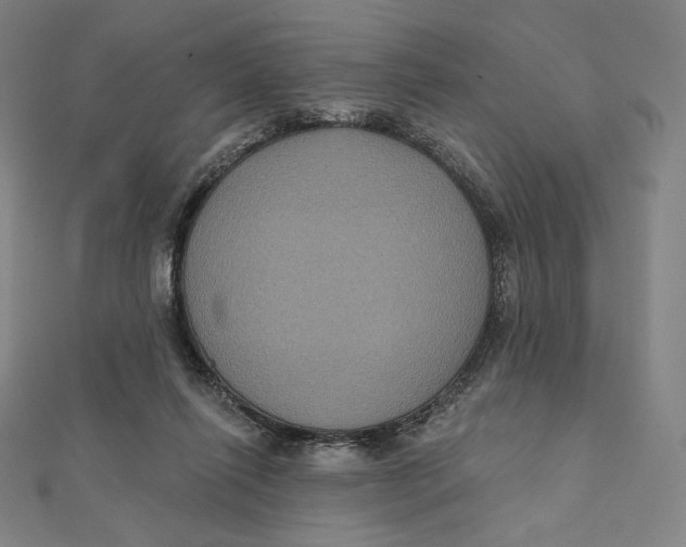 X0000112030262200908311221