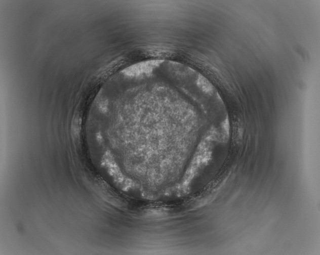 X0000112030263200908311221