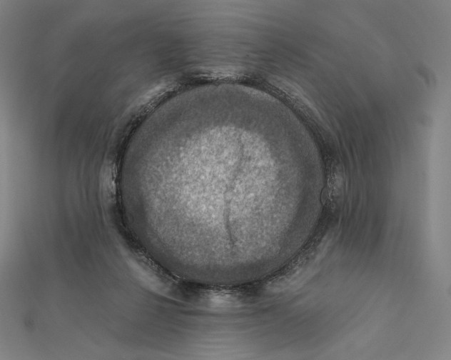 X0000112030264200908311221