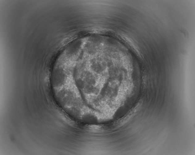 X0000112030265200908311221