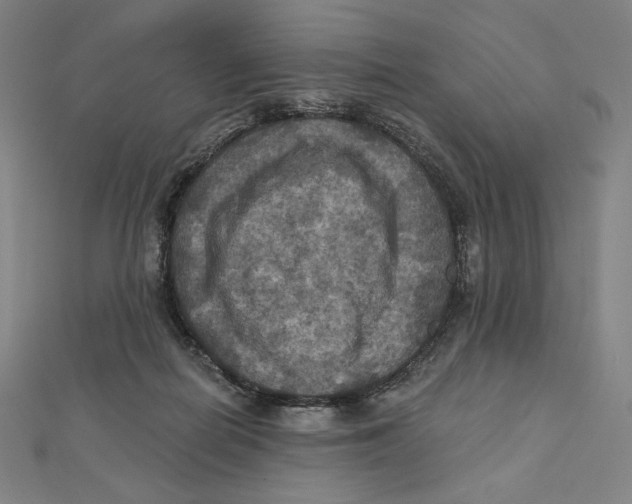 X0000112030266200908311221