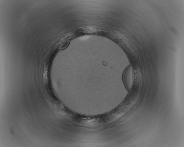 X0000112030267200908311221