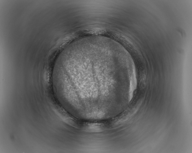 X0000112030268200908311221