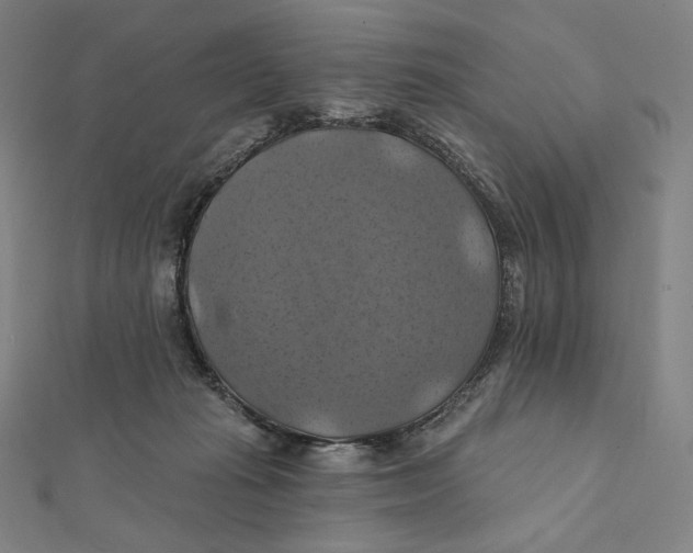 X0000112030269200908311221