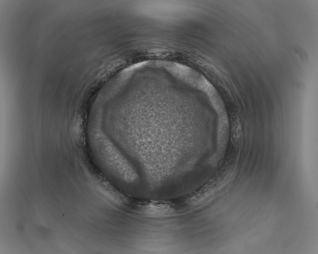 X0000112030270200908311221
