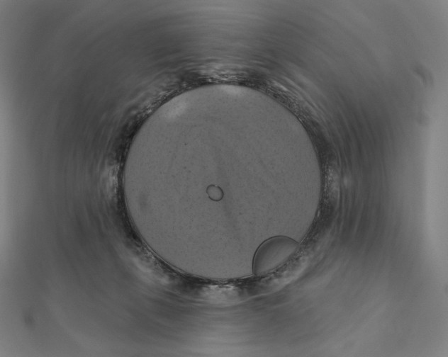 X0000112030271200908311221