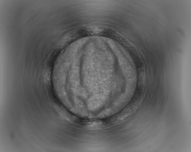 X0000112030274200908311221