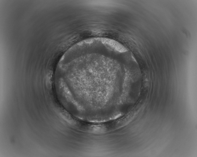 X0000112030275200908311222