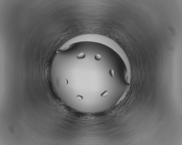 X0000112030276200908311222