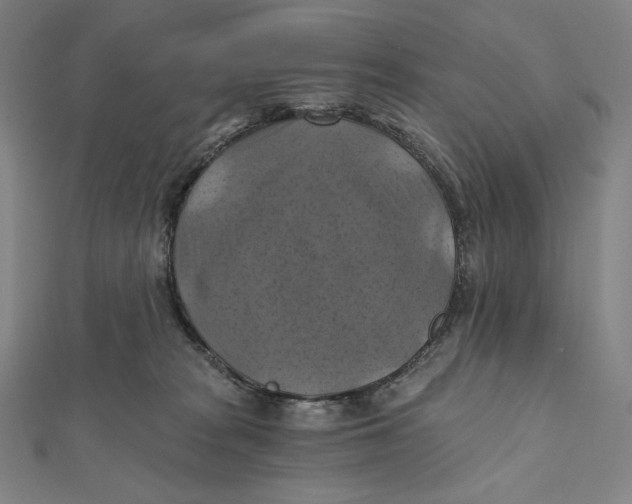 X0000112030277200908311222
