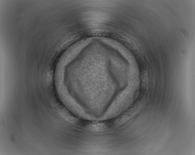 X0000112030278200908311222