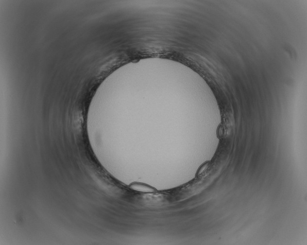 X0000112030279200908311222