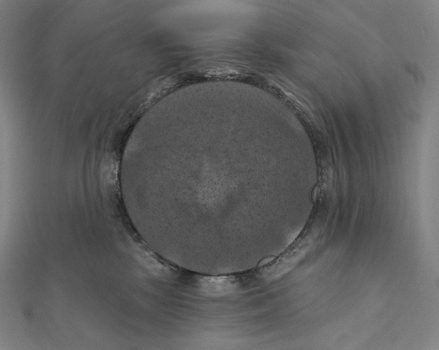 X0000112030281200908311222