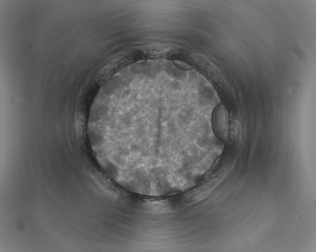 X0000112030283200908311222