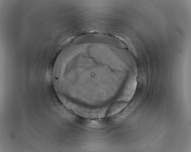 X0000112030285200908311222