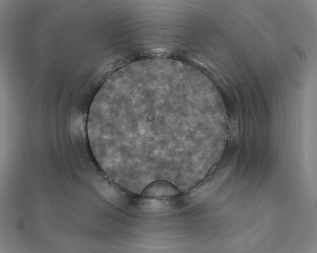 X0000112030286200908311222