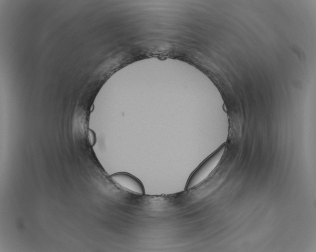 X0000112030287200908311222