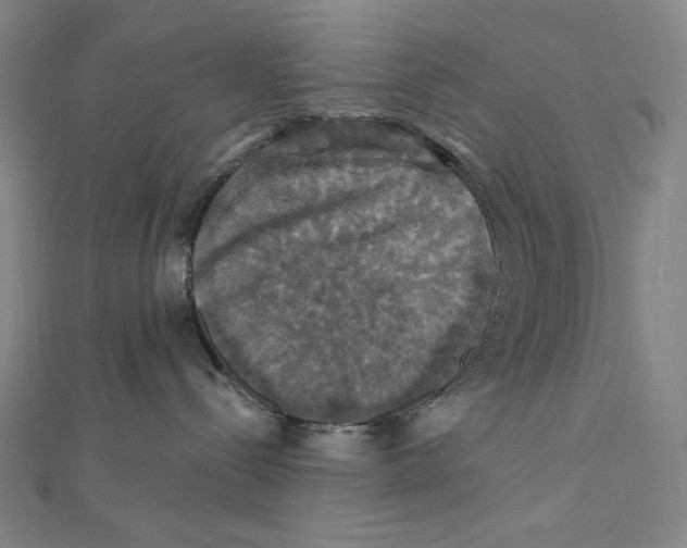 X0000112030288200908311222