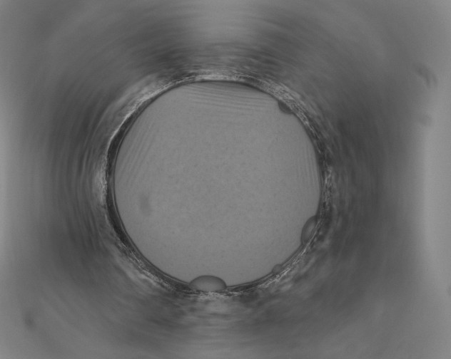 X0000112030290200908311221