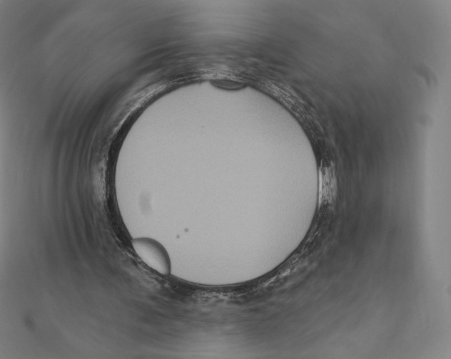 X0000112030291200908311221