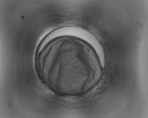 X0000112030292200908311221